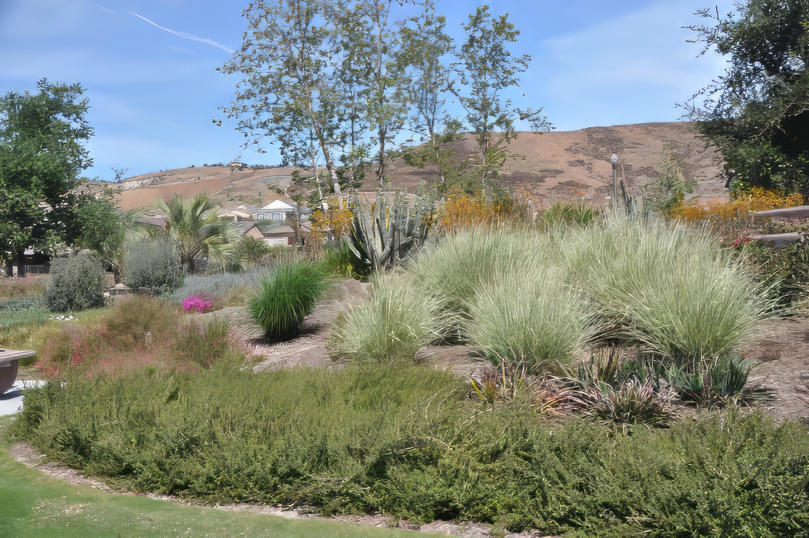 Sendero Public Garden 13