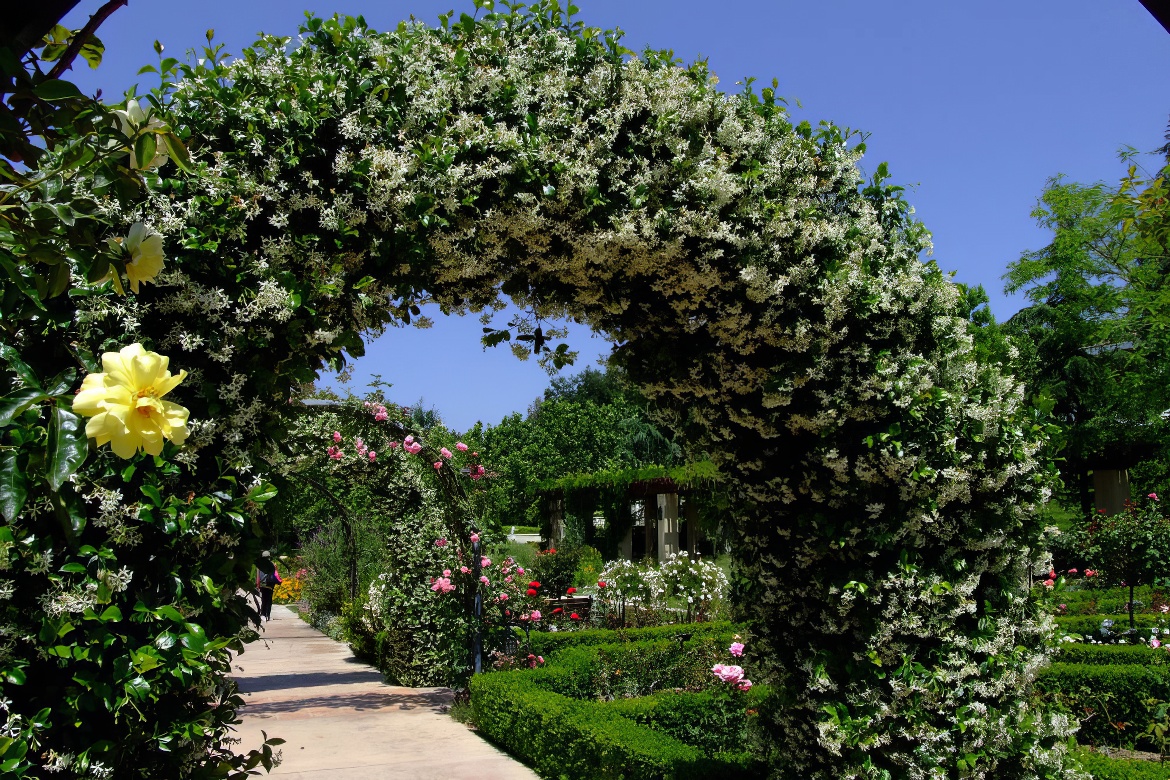 Gardens of the World: Arches 2