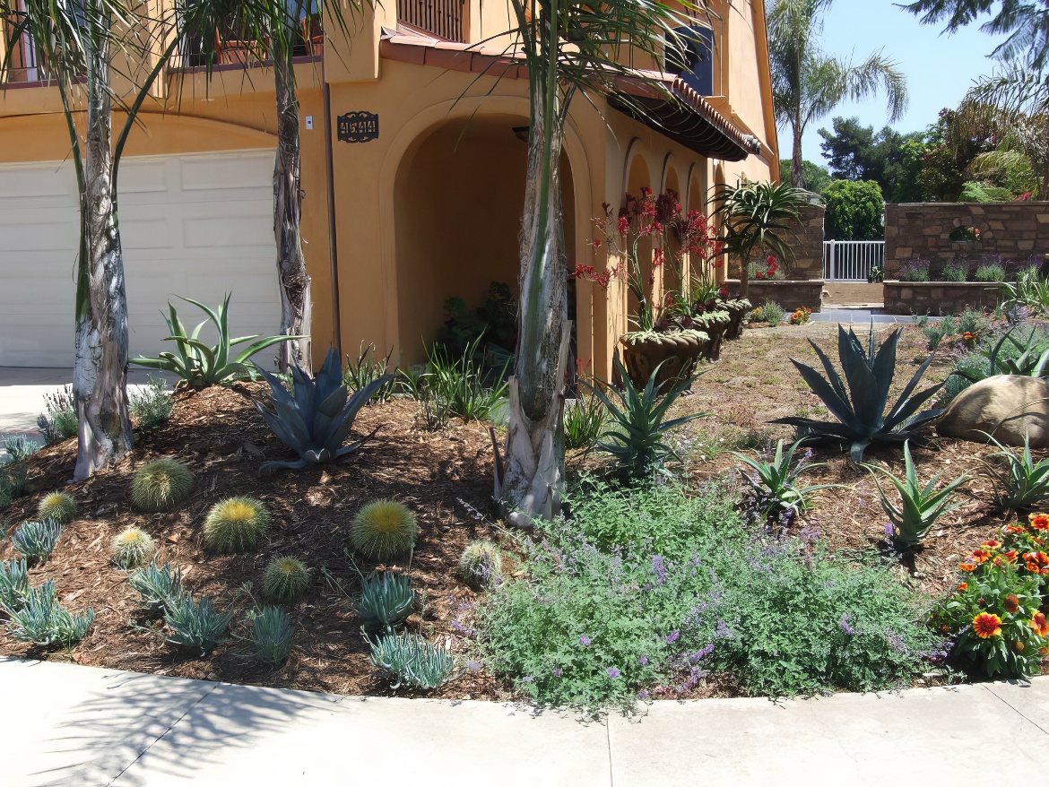 Agave Jewels