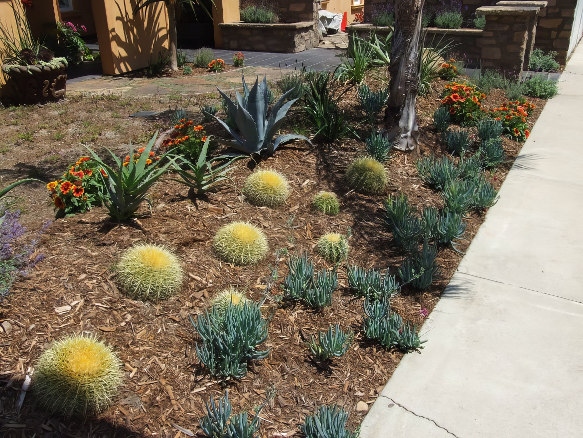 Drought Tolerant Innovations