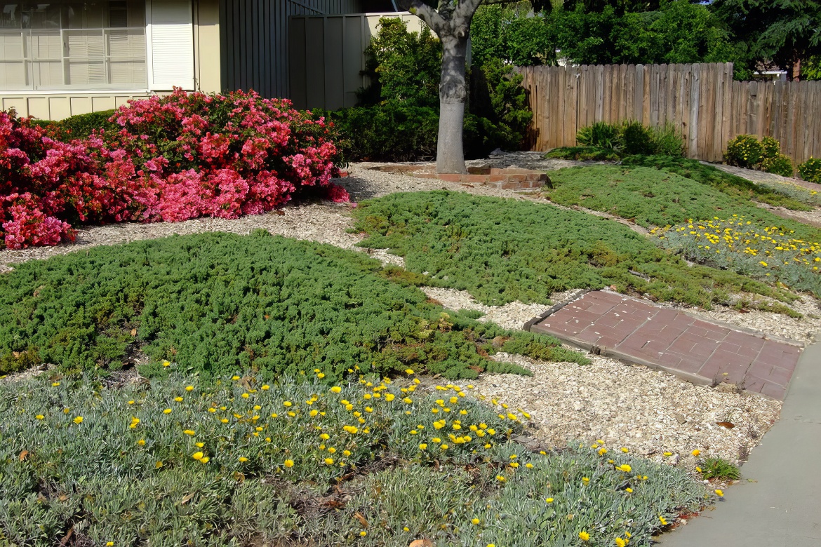 Lovely Perennial Mounds