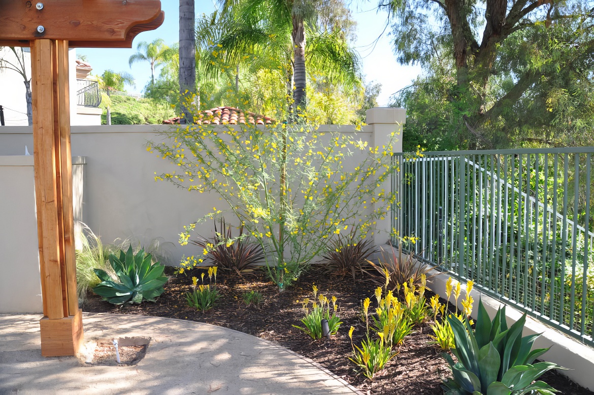 Back Yard Patio 3