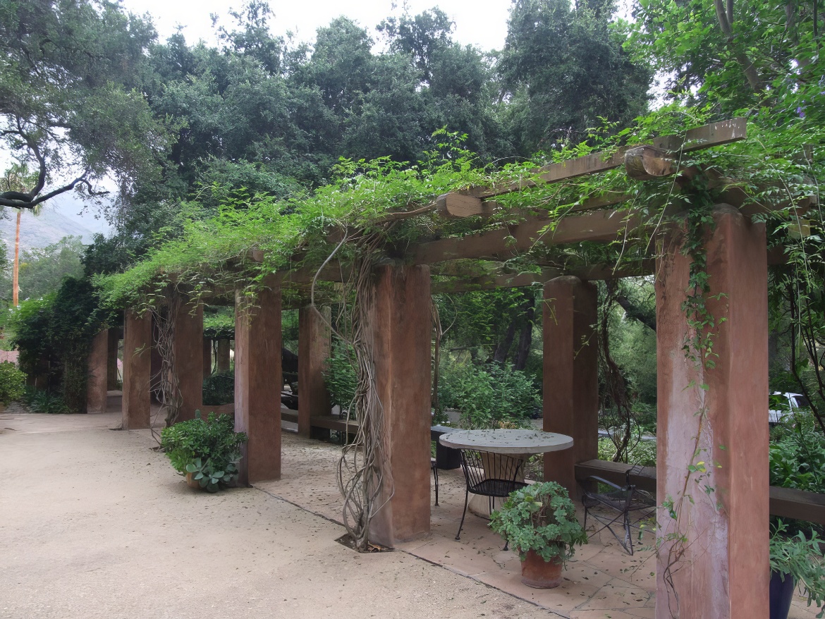 Vine-covered Arbor