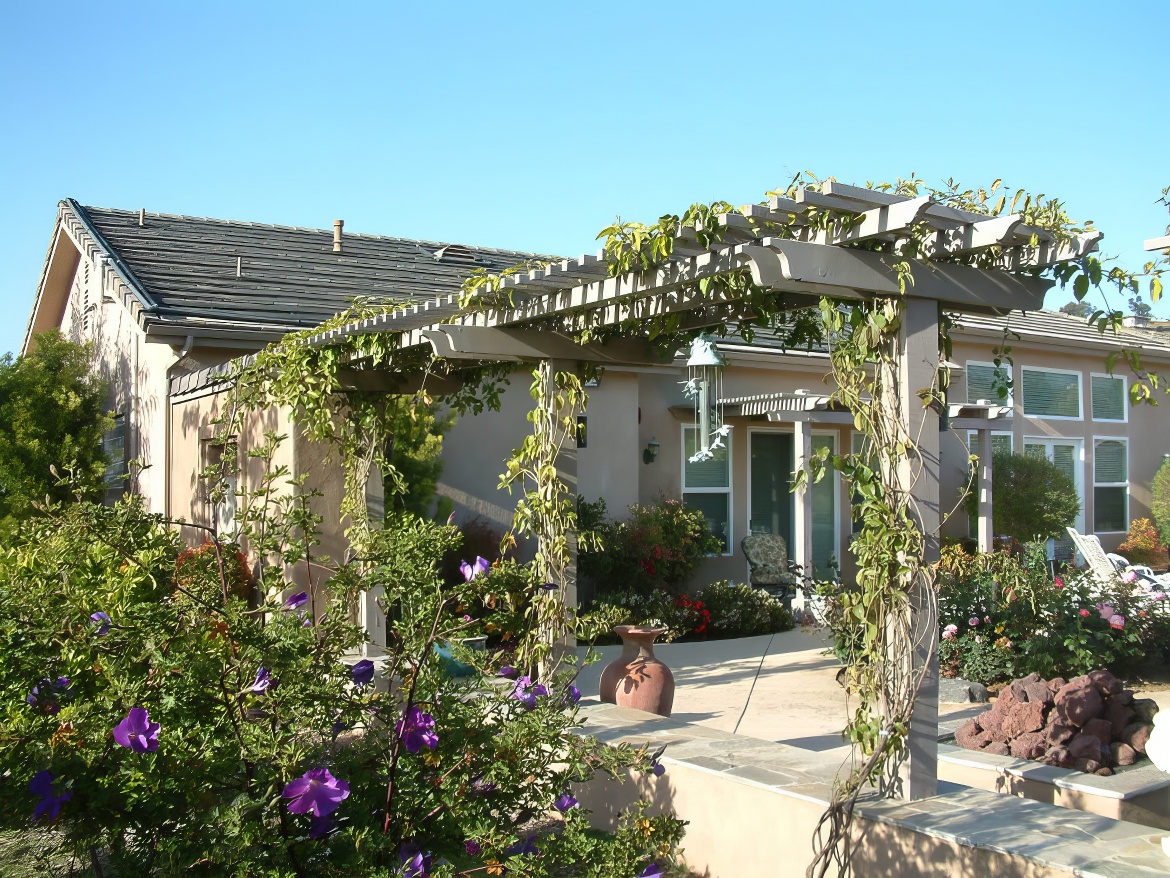 Trellis Draped with Vines